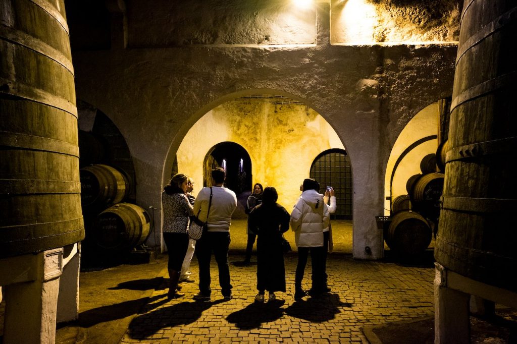 ferreira cellar4