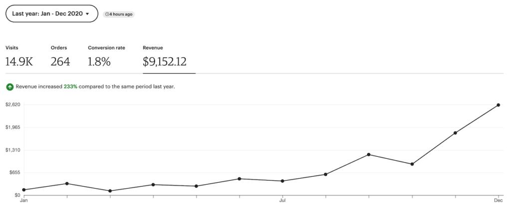 2020 in Review - 2 Years of Traveling in South East Asia 18 2020 revenue