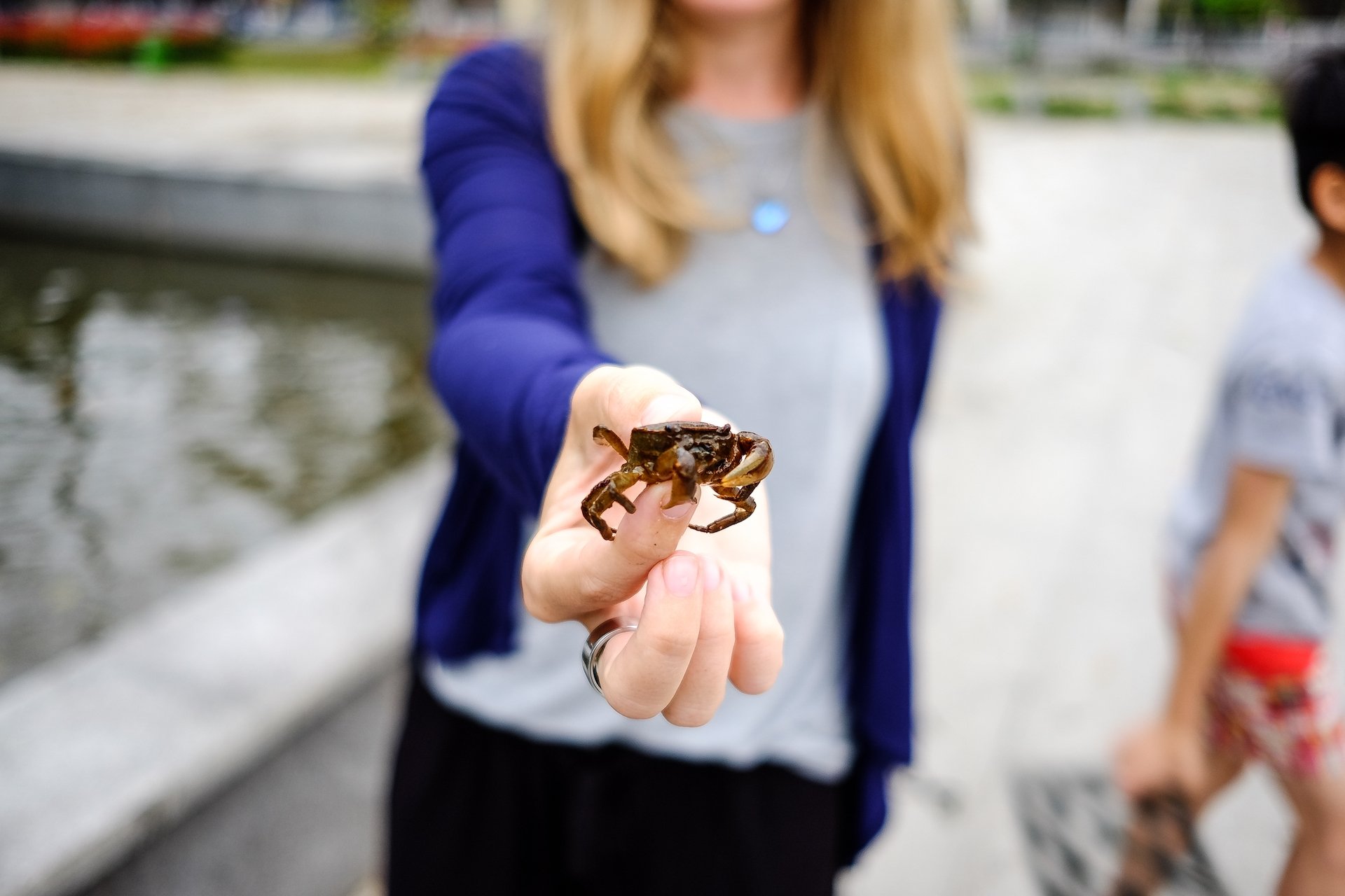 Hue Child hunting crabs 3