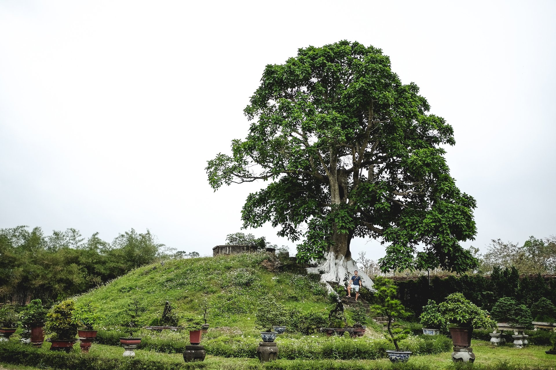 Imperial City garden