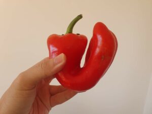 Low Carb Experiment Paprika